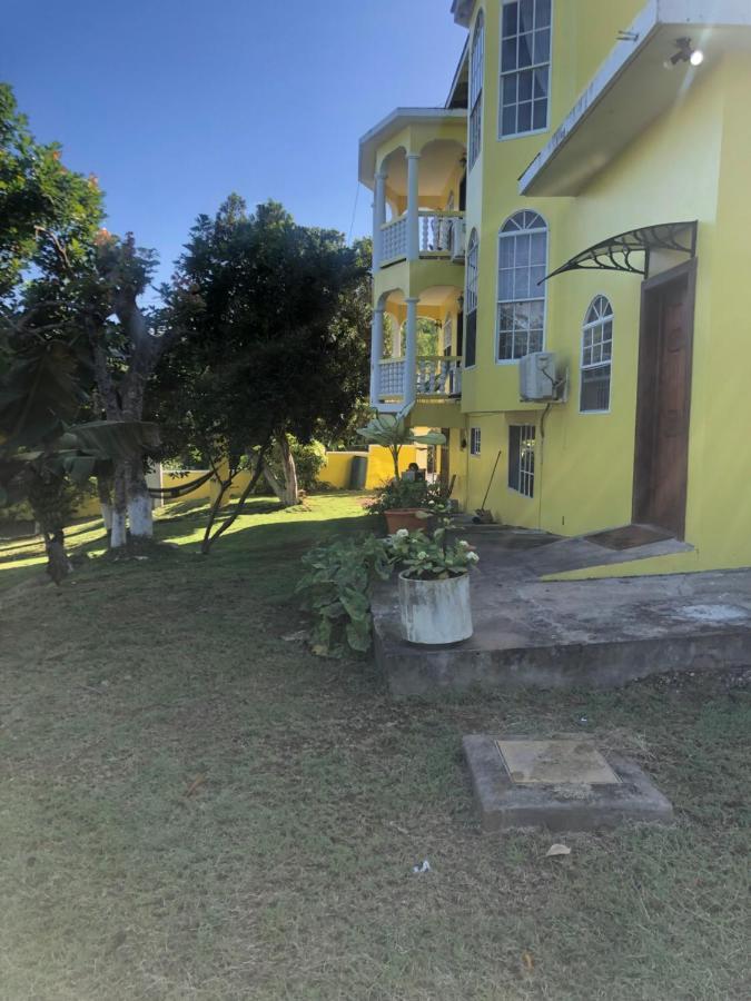 Pura Vida Jamaica Falmouth Exterior foto
